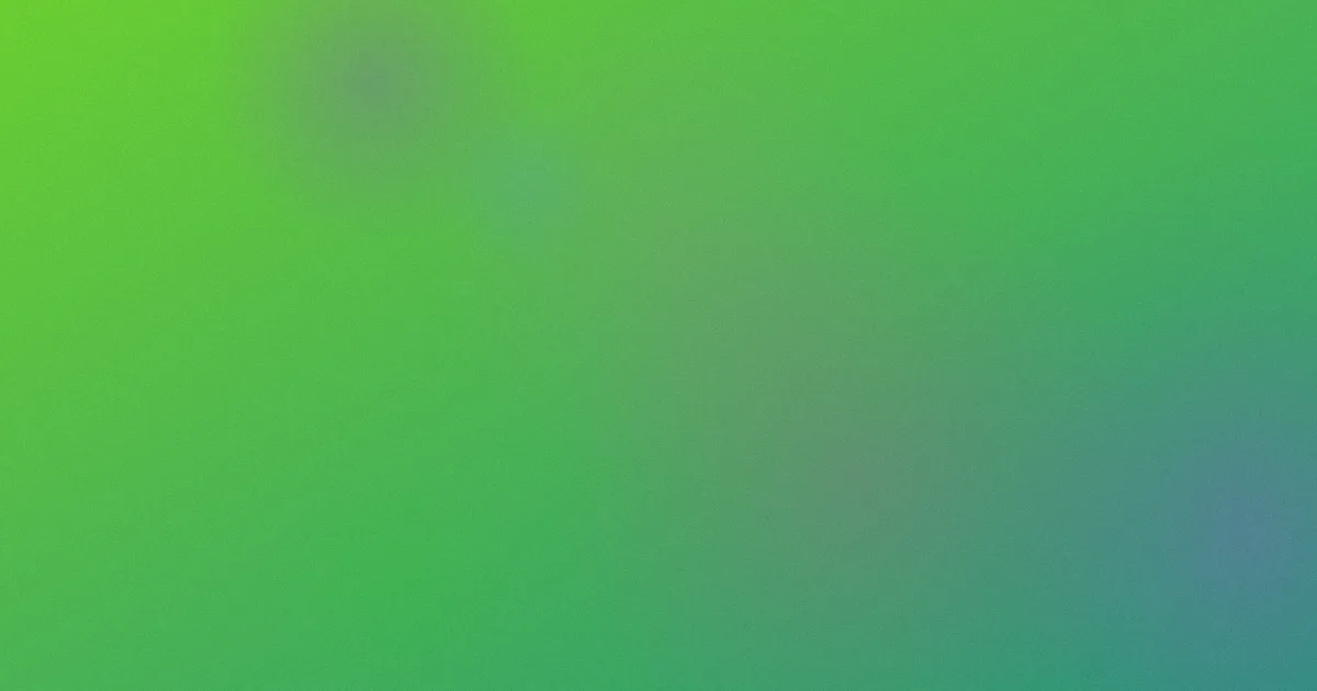 www五月老用户避坑笔记